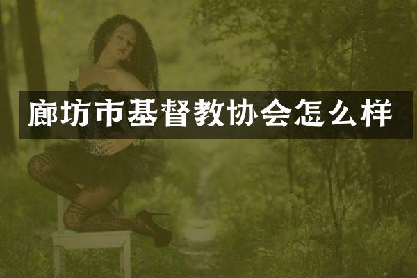 廊坊市基督教协会怎么样