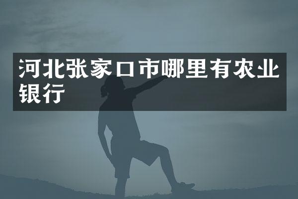 河北张家口市哪里有农业银行
