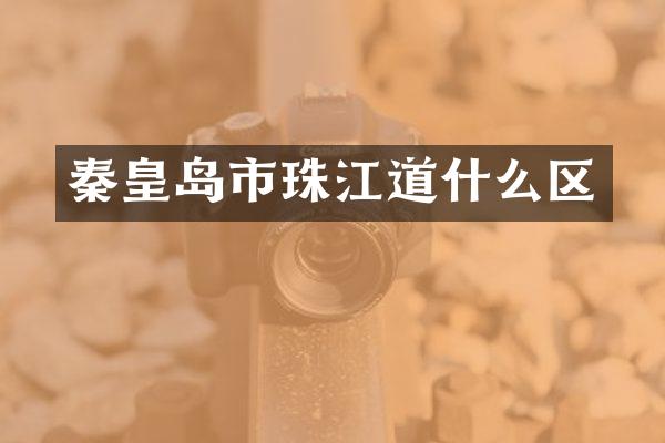 秦皇岛市珠江道什么区