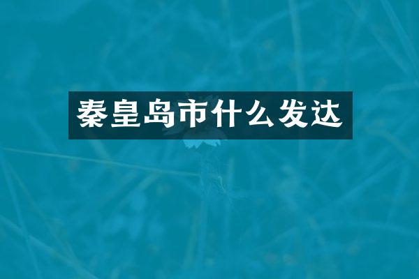 秦皇岛市什么发达