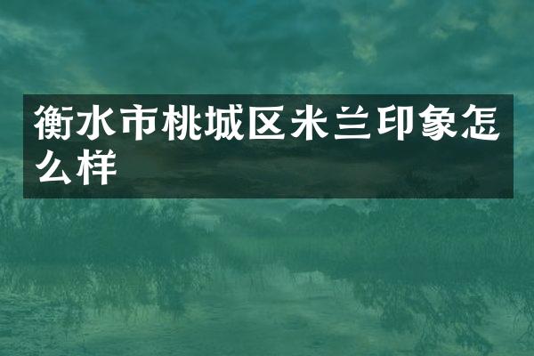 衡水市桃城区米兰印象怎么样