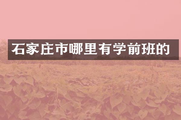 石家庄市哪里有学前班的