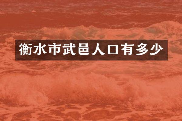 衡水市武邑人口有多少