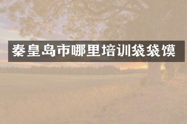 秦皇岛市哪里培训袋袋馍