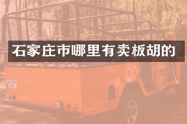 石家庄市哪里有卖板胡的