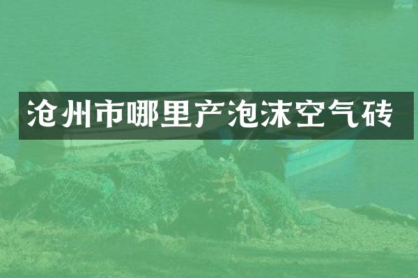 沧州市哪里产泡沫空气砖