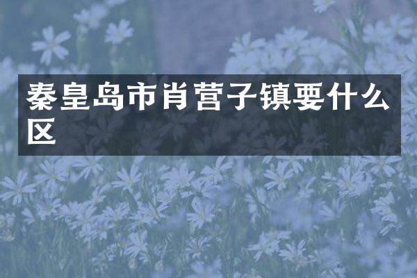 秦皇岛市肖营子镇要什么区