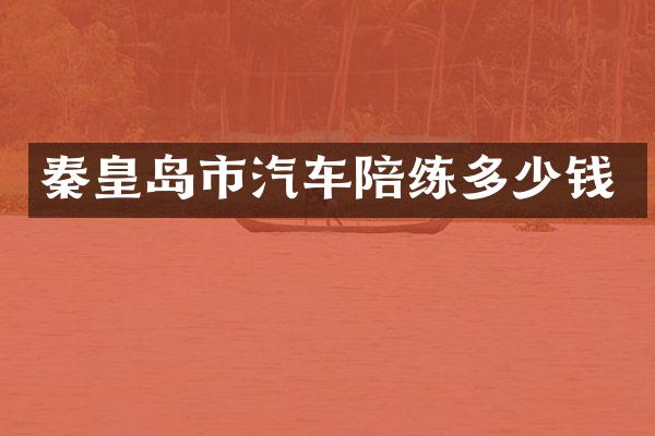 秦皇岛市汽车陪练多少钱