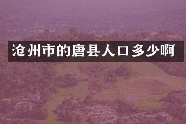 沧州市的唐县人口多少啊