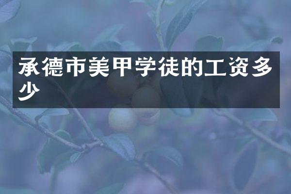 承德市美甲学徒的工资多少