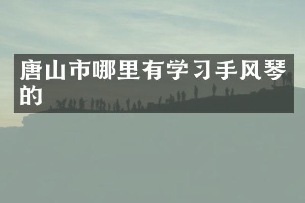 唐山市哪里有学习手风琴的