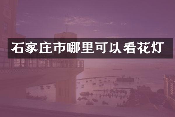 石家庄市哪里可以看花灯