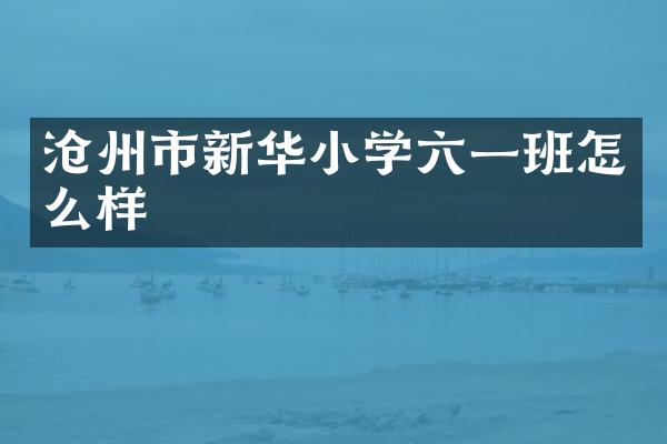 沧州市新华小学六一班怎么样