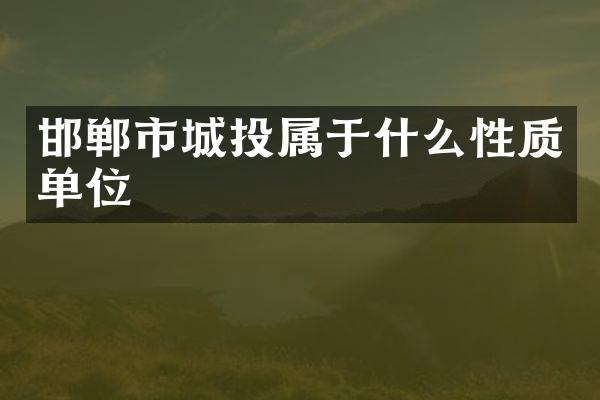 邯郸市城投属于什么性质单位