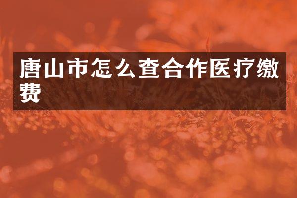 唐山市怎么查合作医疗缴费