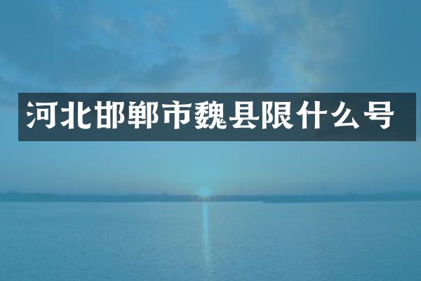 河北邯郸市魏县限什么号