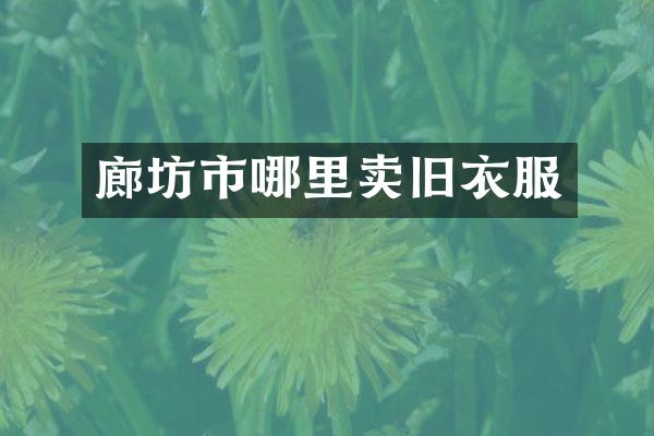 廊坊市哪里卖旧衣服