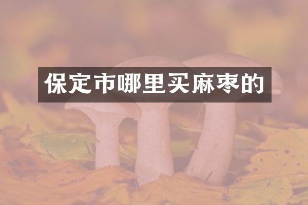 保定市哪里买麻枣的