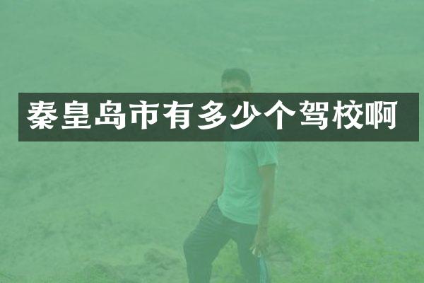 秦皇岛市有多少个驾校啊