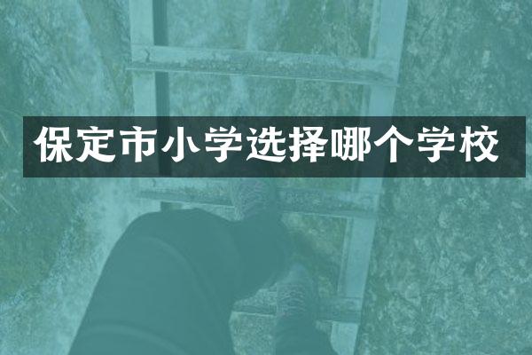保定市小学选择哪个学校