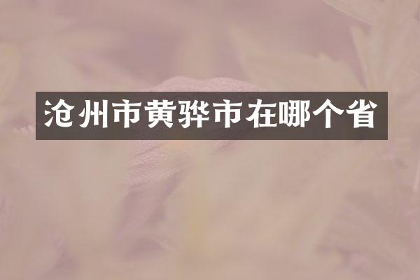 沧州市黄骅市在哪个省