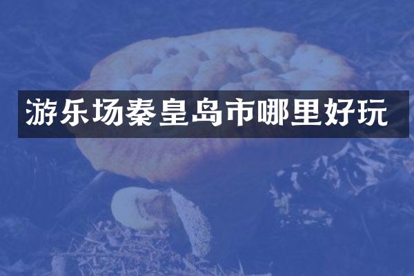 游乐场秦皇岛市哪里好玩