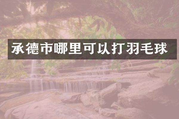 承德市哪里可以打羽毛球