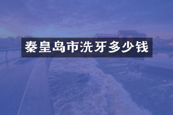 秦皇岛市洗牙多少钱