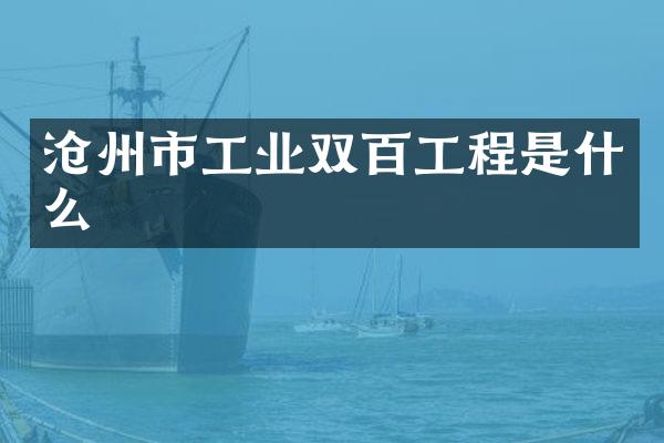 沧州市工业双百工程是什么
