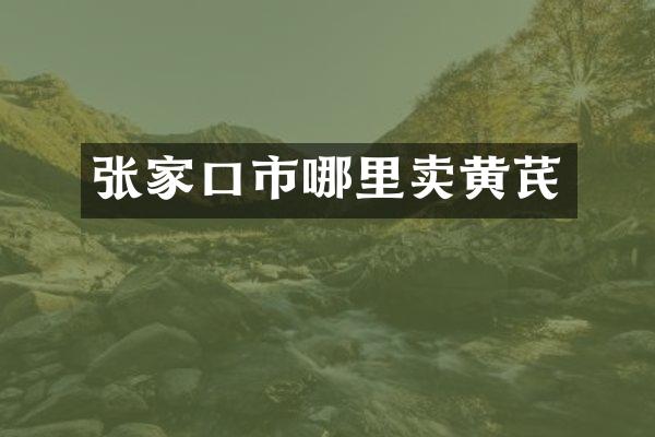 张家口市哪里卖黄芪