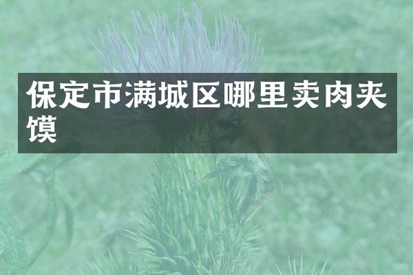 保定市满城区哪里夹馍