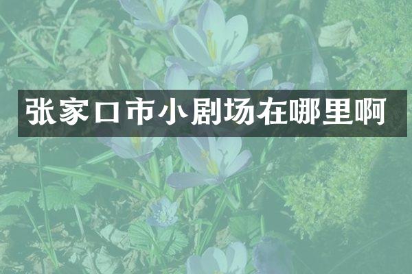 张家口市小剧场在哪里啊