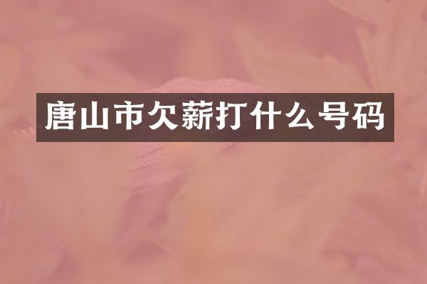 唐山市欠薪打什么号码