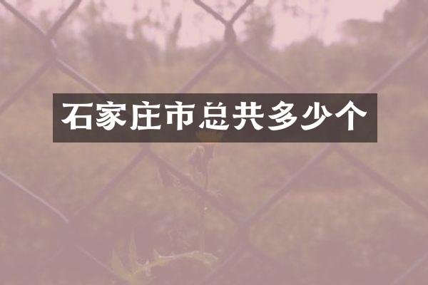 石家庄市总共多少个