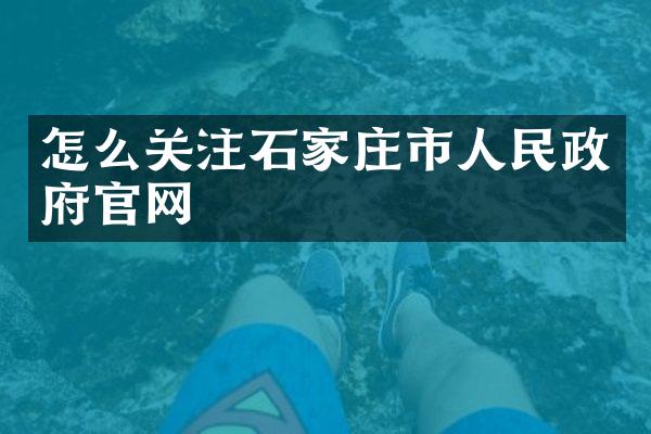 怎么关注石家庄市人民政府官网
