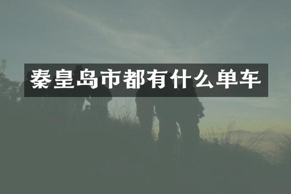秦皇岛市都有什么单车