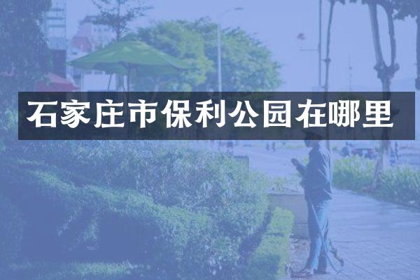 石家庄市保利公园在哪里