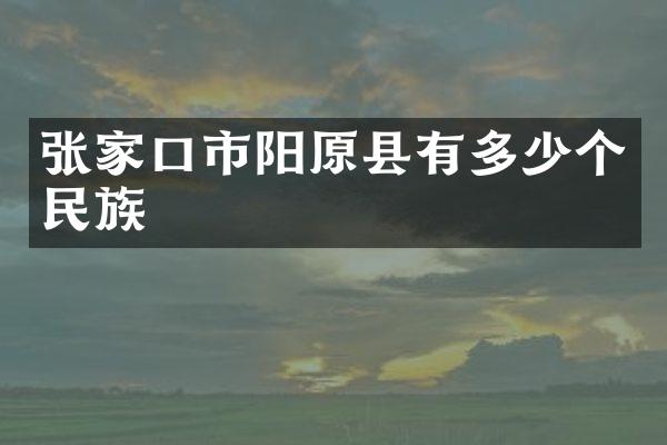 张家口市阳原县有多少个民族