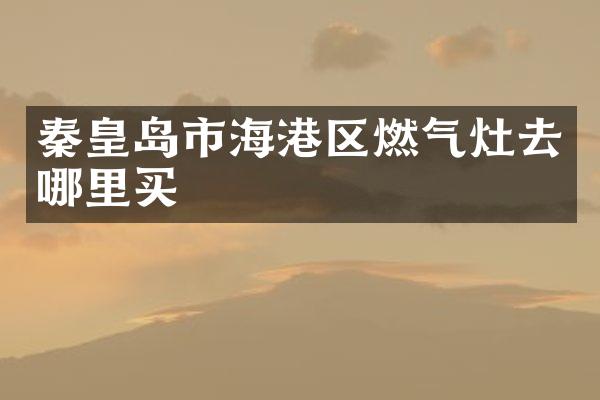 秦皇岛市海港区燃气灶去哪里买
