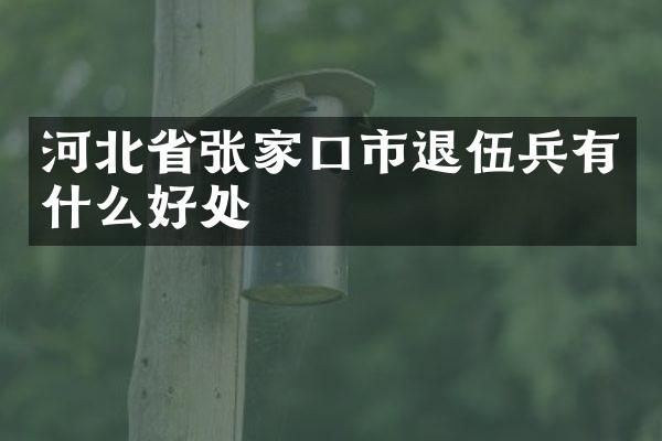 河北省张家口市退伍兵有什么好处