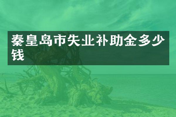 秦皇岛市失业补助金多少钱