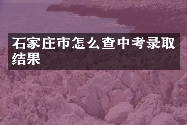 石家庄市怎么查中考录取结果