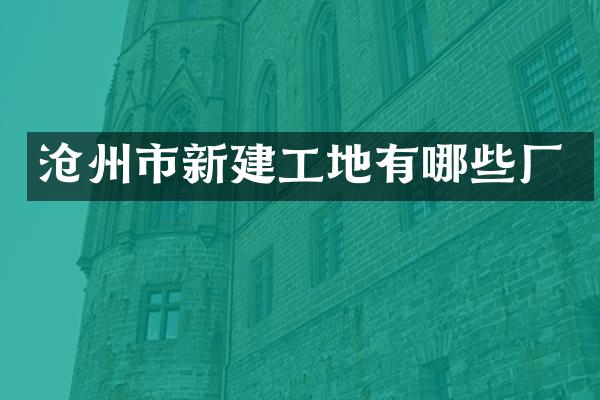 沧州市新建工地有哪些厂