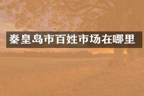 秦皇岛市百姓市场在哪里