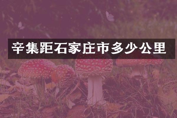 辛集距石家庄市多少公里