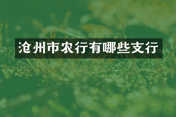 沧州市农行有哪些支行