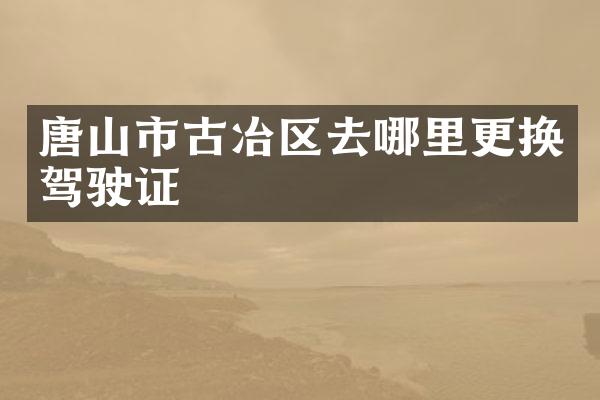 唐山市古冶区去哪里更换