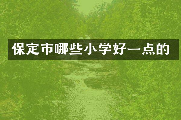 保定市哪些小学好一点的
