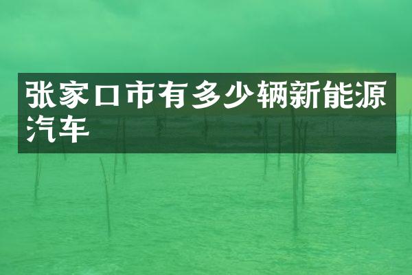 张家口市有多少辆新能源汽车