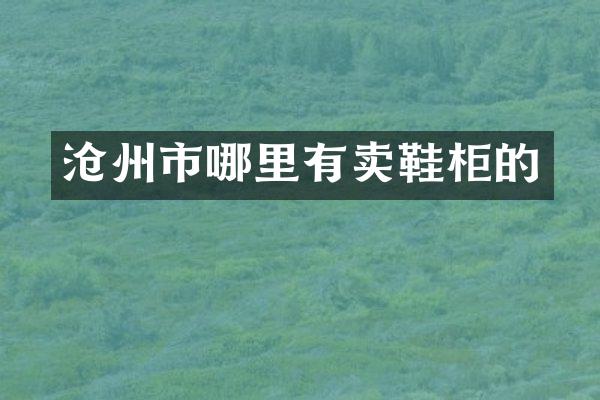 沧州市哪里有卖鞋柜的